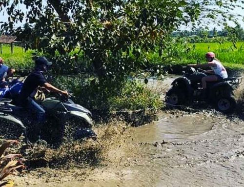 Kuber Bali Adventure | Cheap ATV Ride Ubud Start from 475K