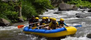 Full-Day Ayung River Rafting and Ubud Tour 2019