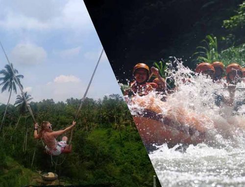 Ayung River Rafting and Bali Swing Ubud