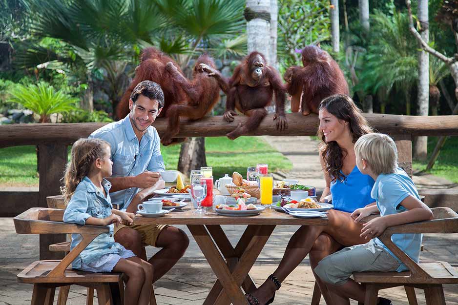 Breakfast with Orangutan Ubud and Ayung River Rafting